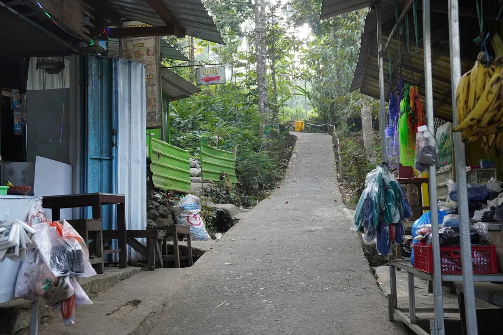 Trek to Tumpak Sewu Panoramic View