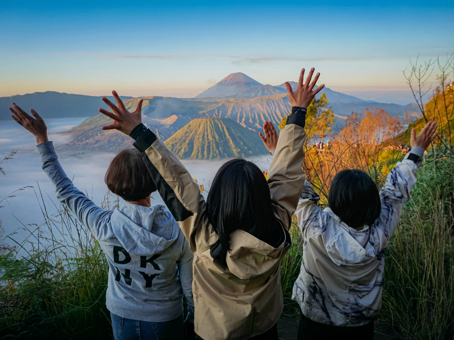 Mount Bromo Private Tour